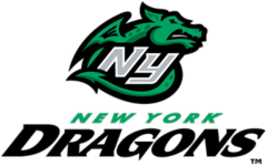 New York Dragons logo (2009, Unused)
