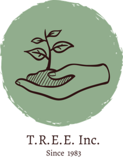 Tampa Bay Reforestation and Environmental Effort