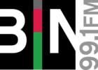 Logo W256BT BIN 99.1. Web