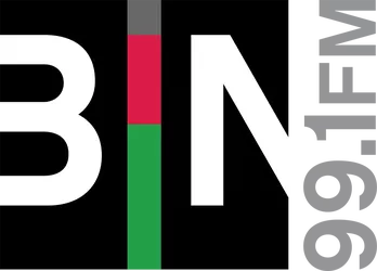 File:W256BT BIN 99.1 logo.webp