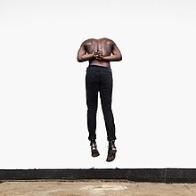 220px-Aromanticism_Moses_Sumney.jpg