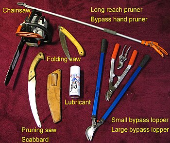 Some Pruning tools that can be used to maintai...