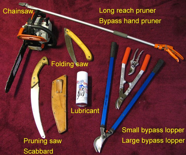 File:Pruning Tools M D Vaden.jpg