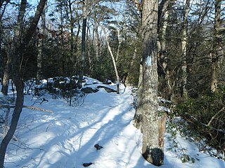 <span class="mw-page-title-main">Shenipsit Trail</span> Hiking trail in Connecticut, United States