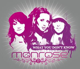 <span class="mw-page-title-main">What You Don't Know (Monrose song)</span> 2007 single by Monrose