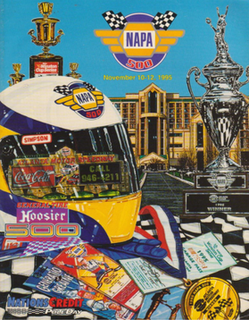 <span class="mw-page-title-main">1995 NAPA 500</span> Auto race held at Atlanta Motor Speedway in 1995