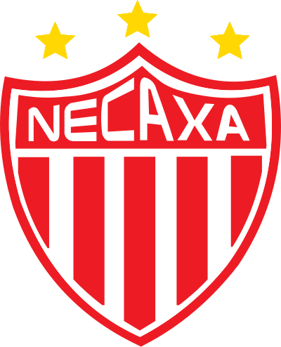 2008年至2009年墨西哥超级足球联赛