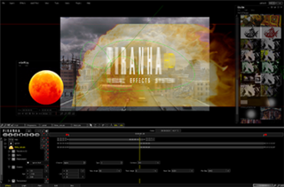 <span class="mw-page-title-main">Piranha (compositing software)</span>