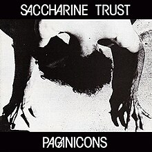 Saccharine Trust - Paganicons.jpg
