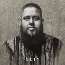 Skin (Official Single Cover) af Rag'n'Bone Man.png