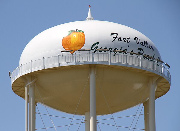 A water tower in Fort Valley