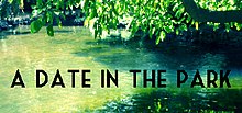 A Date in the Park Cover.jpg