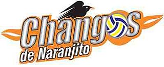 <span class="mw-page-title-main">Changos de Naranjito</span> Professional volleyball team based in Naranjito, Puerto Rico