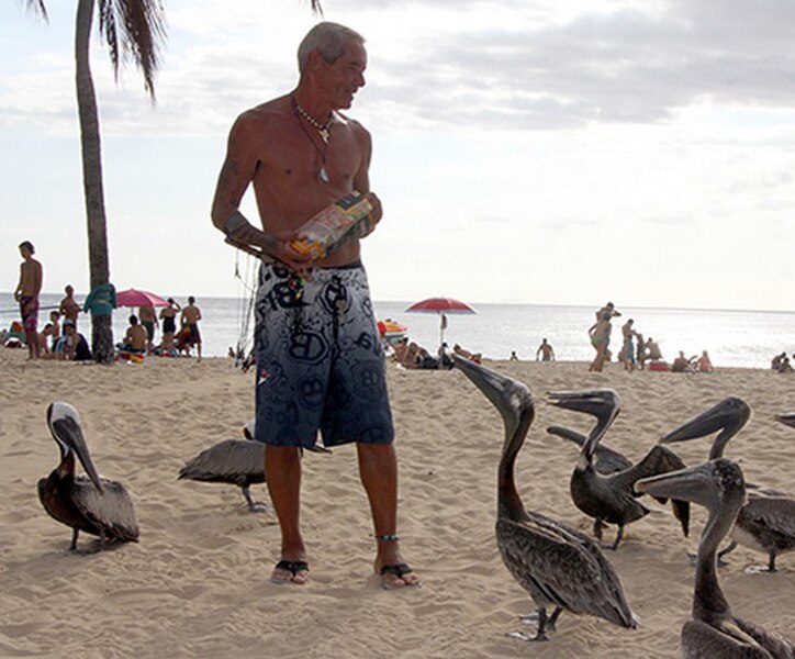 File:Pelicanos Crash Boat.jpg