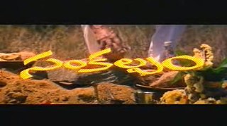 <i>Sankalpam</i> 1995 Indian film