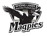 Wyong Danau AFC logo.jpg