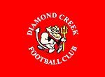 DiamondCreekLogo.jpg