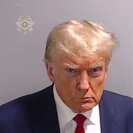 Donald Trump mug shot., From WikimediaPhotos