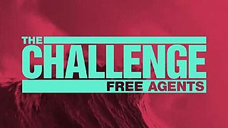 <i>The Challenge: Free Agents</i> Season of television series