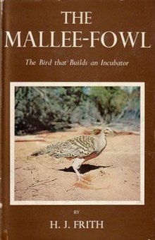 TheMalleeFowl.jpg