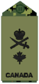 Navy olive Cmdre.png