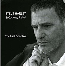 Стив Харли и Кокни Мятежник Обложка сингла The Last Goodbye 2006.jpeg