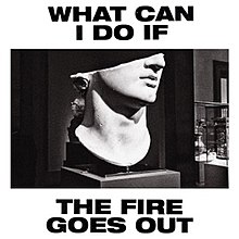 What Can I Do If the Fire Goes Out? by Gang of Youths.jpg