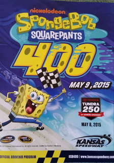 <span class="mw-page-title-main">2015 SpongeBob SquarePants 400</span> Motor car race