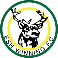 Esh Winning FC logo.png