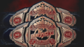 The 2020 design of the belts.