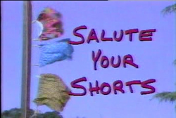 SaluteYOurShorts.png 