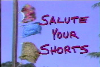 <i>Salute Your Shorts</i> American television sitcom (1991–1992)