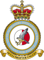 Taktis Citra Kecerdasan Sayap RAF Lencana.png