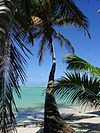 Beach Scene on the southern coast of Rarotonga.