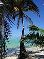 A Rarotonga beach, Avaavaroa.