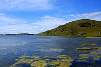 Lough Gur is one of Ireland's most important archaeological sites. LimerickCounty LoughGur.jpg