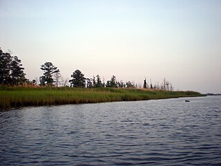 Brunswick River (North Carolina) river in North Carolina