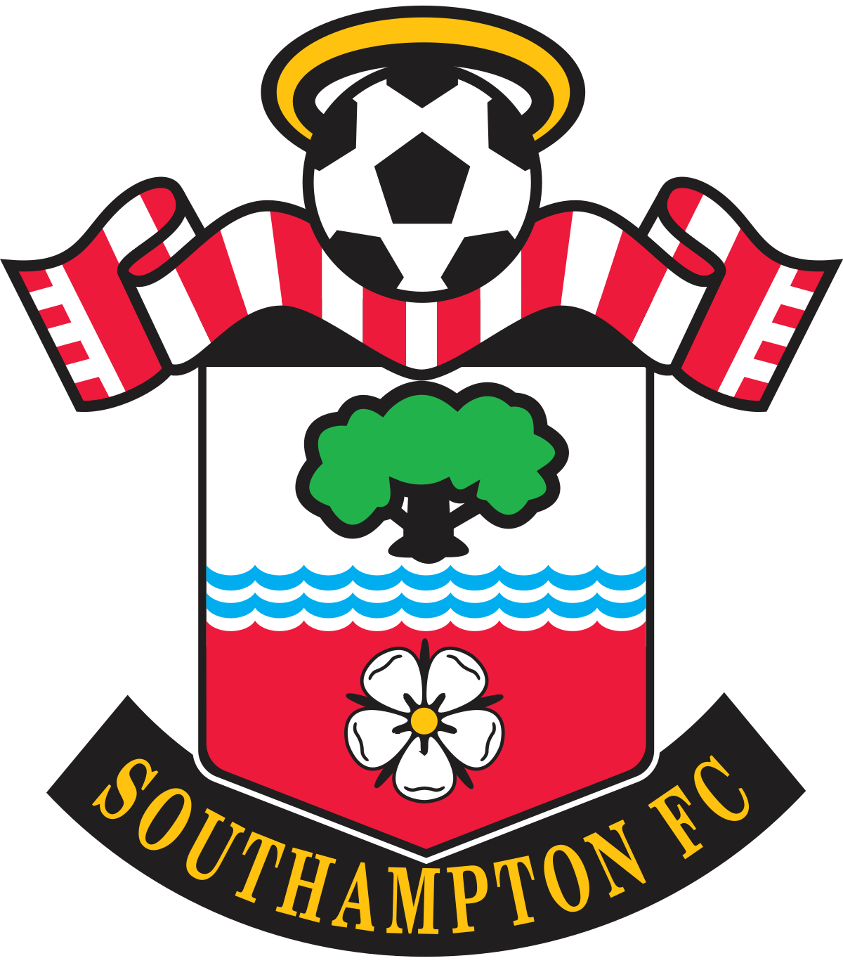 Image result for southampton logo