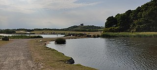 <span class="mw-page-title-main">Herrington Country Park</span>