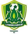 Thumbnail for File:Shandong Tengding FC logo.jpg