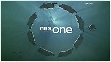 The circle idents were introduced on 7 October 2006 and were used until 31 December 2016. The Hippos ident is shown above. BBC One circle.jpg