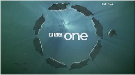 The circle idents were introduced on 7 October 2006 and were used until 31 December 2016. The Hippos ident is shown above.