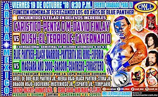 <span class="mw-page-title-main">Blue Panther 40th Anniversary Show</span> Mexican professional wrestling show