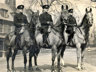 <span class="mw-page-title-main">Equine recipients of the Dickin Medal</span>