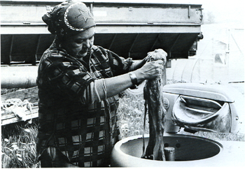 Cowichan knitter Mary Harry washes wool. Koksilah Reserve, 1985. Miekle Cowichan 17.png