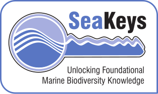 <span class="mw-page-title-main">SeaKeys</span> Collaborative marine biodiversity project in South Africa