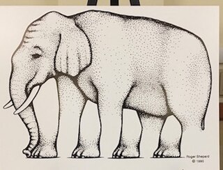 Shepard elephant Optical illusion