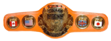 The original FTW Heavyweight Championship belt
(introduced on May 14, 1998) ECW FTW Heavyweight Championship.png