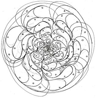 Form constant Recurringly observed geometric pattern