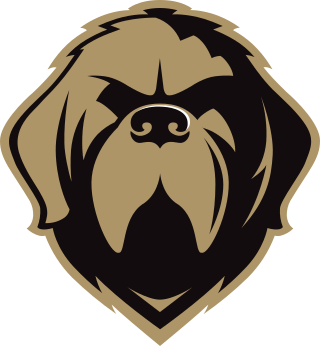 <span class="mw-page-title-main">Newfoundland Growlers</span> Defunct professional ice hockey team